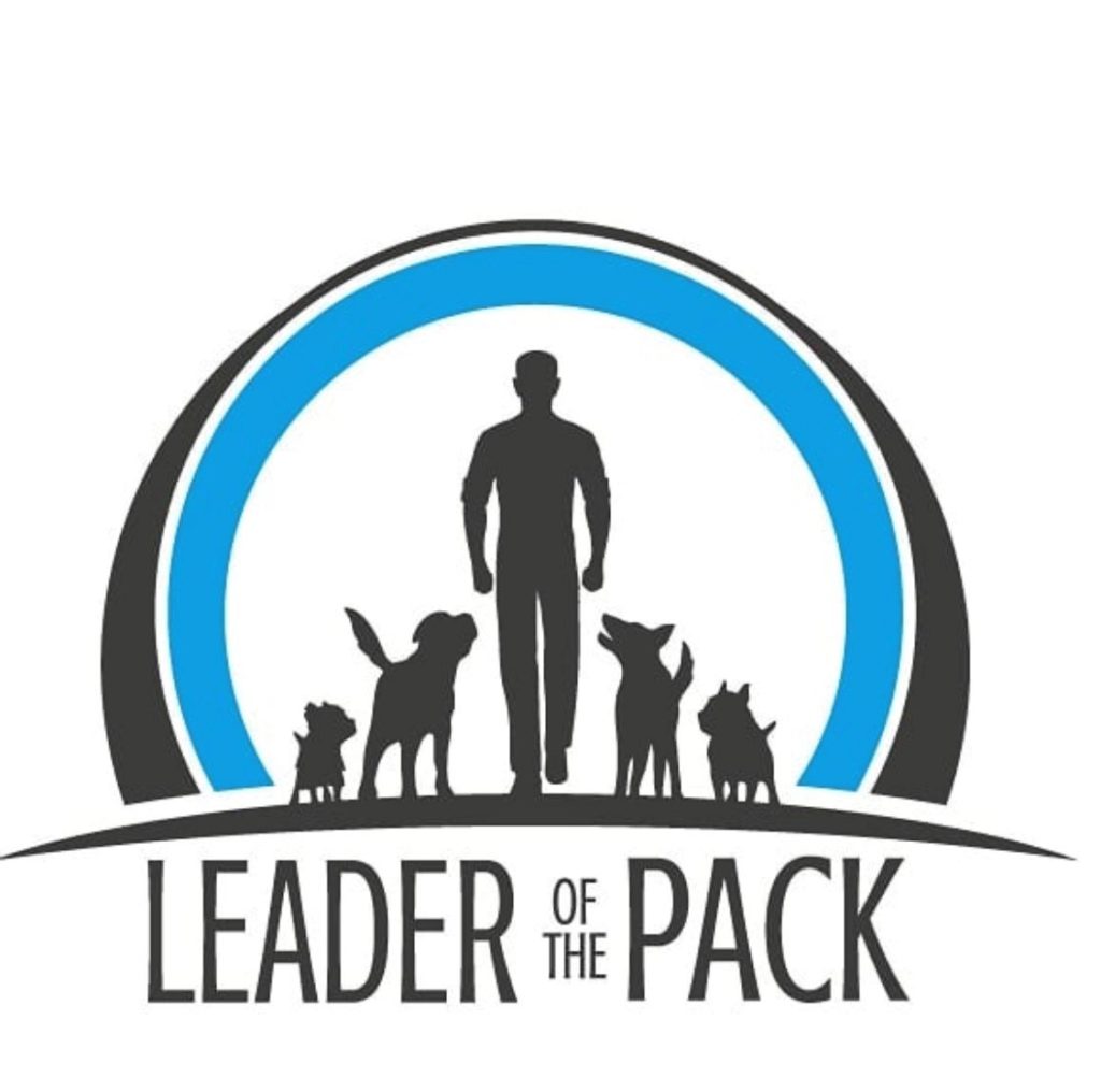 Munro Kennels Dog Training Equip Yourself for Success