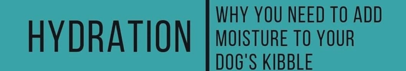 Lets talk HYDRATION!