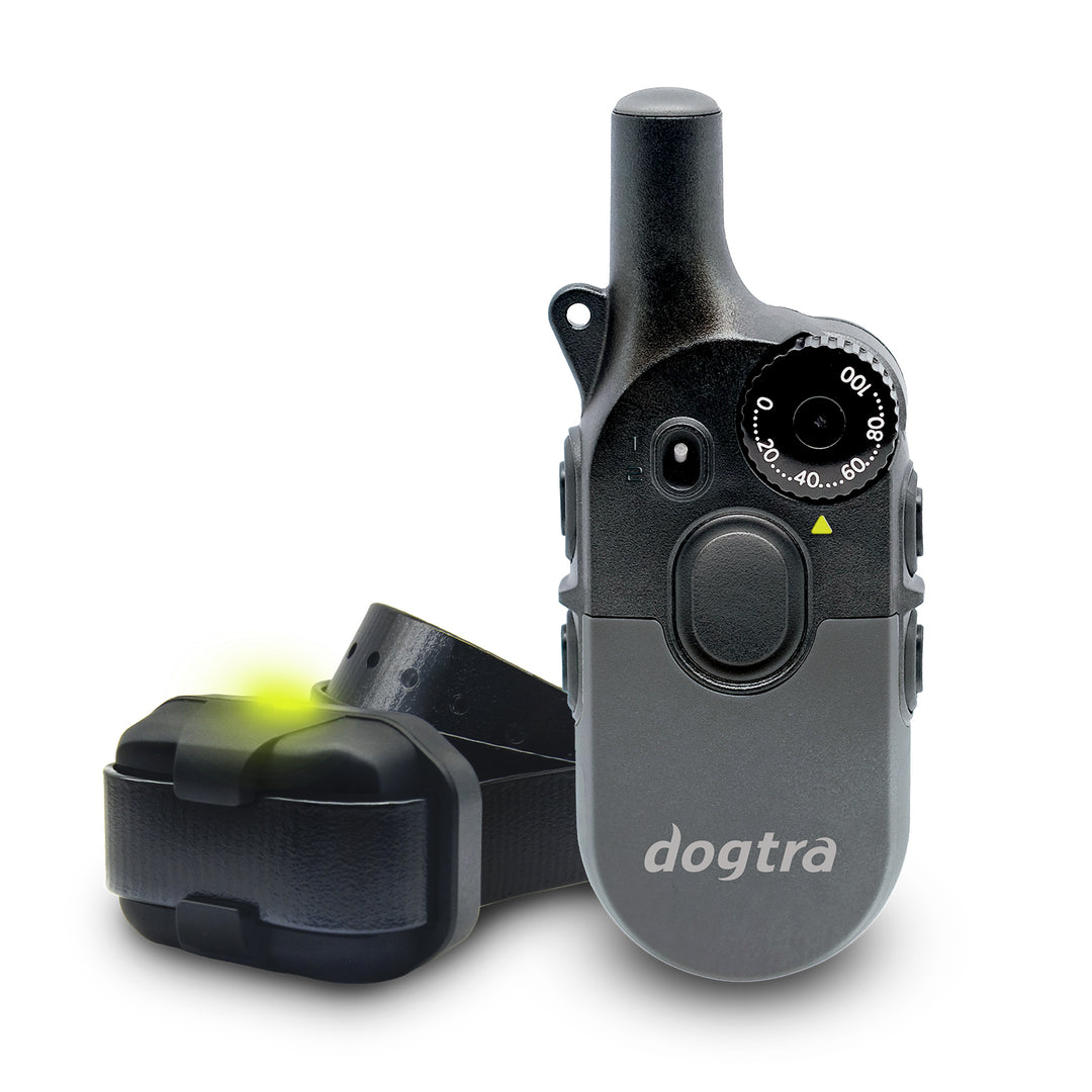 Dogtra 200IQ Training System | MunroKennels.com