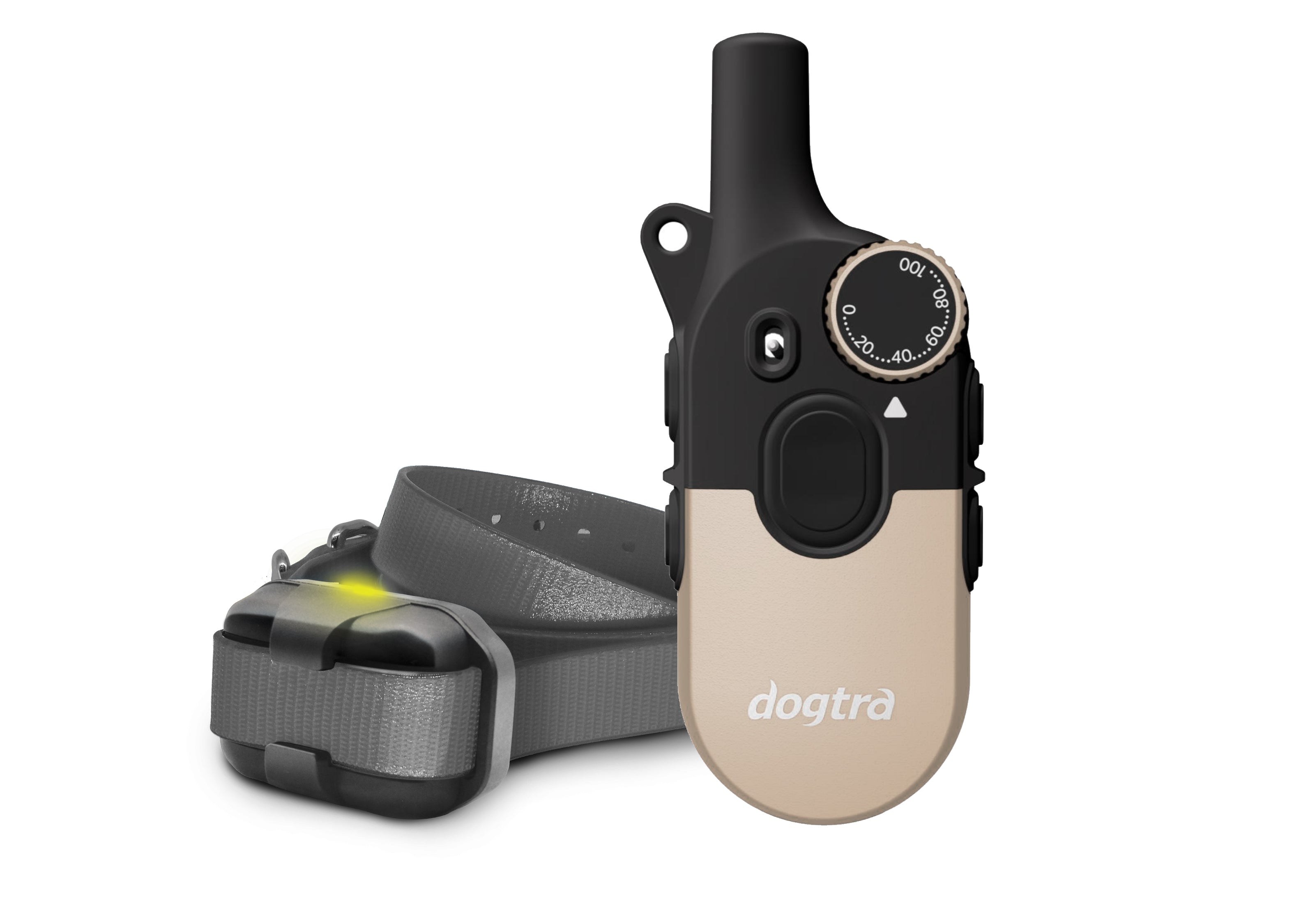 Dogtra 200IQ Training System | MunroKennels.com