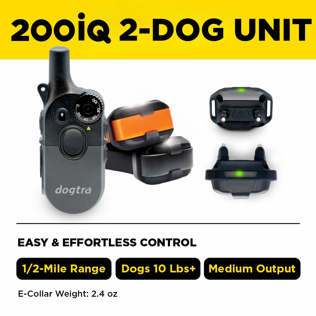Dogtra 200IQ Training System | MunroKennels.com
