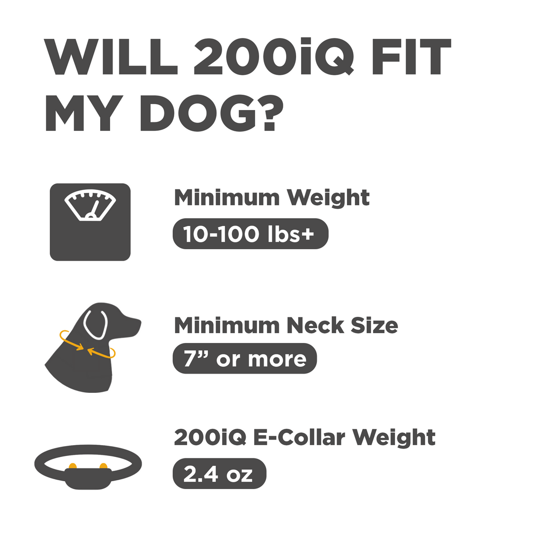 Dogtra 200IQ Training System | MunroKennels.com