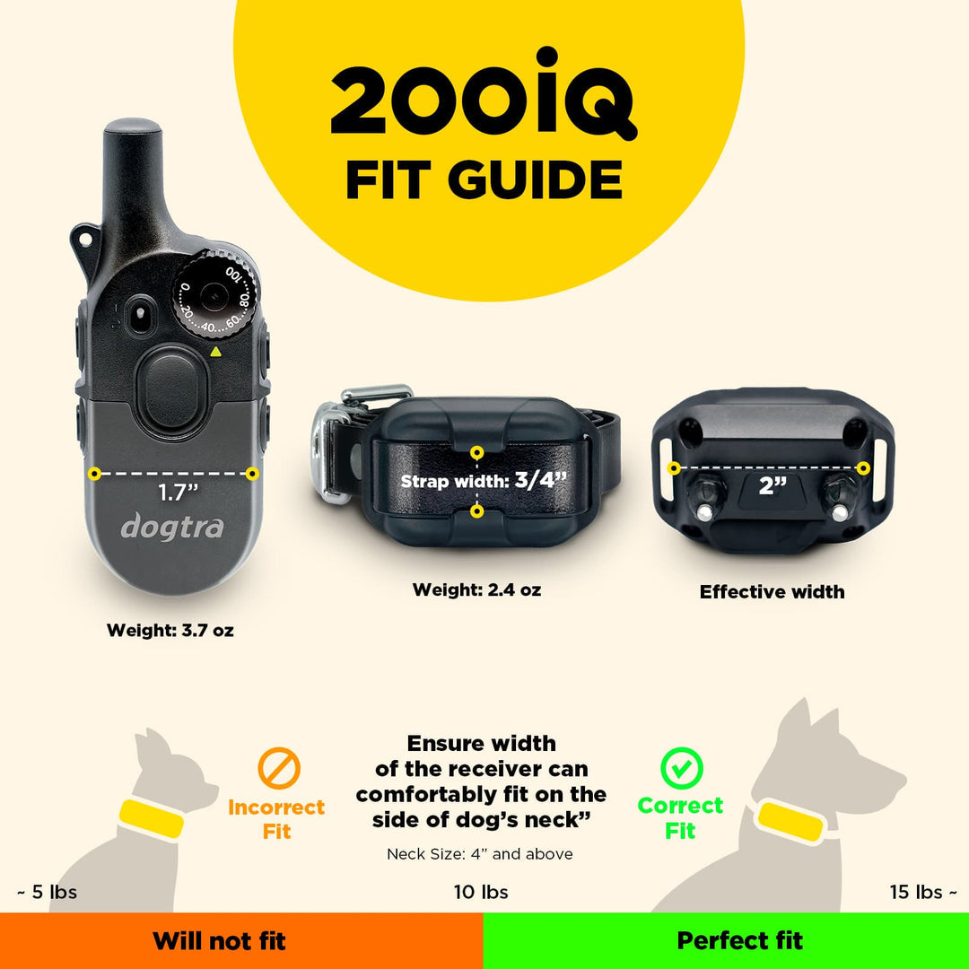 Dogtra 200IQ Training System | MunroKennels.com