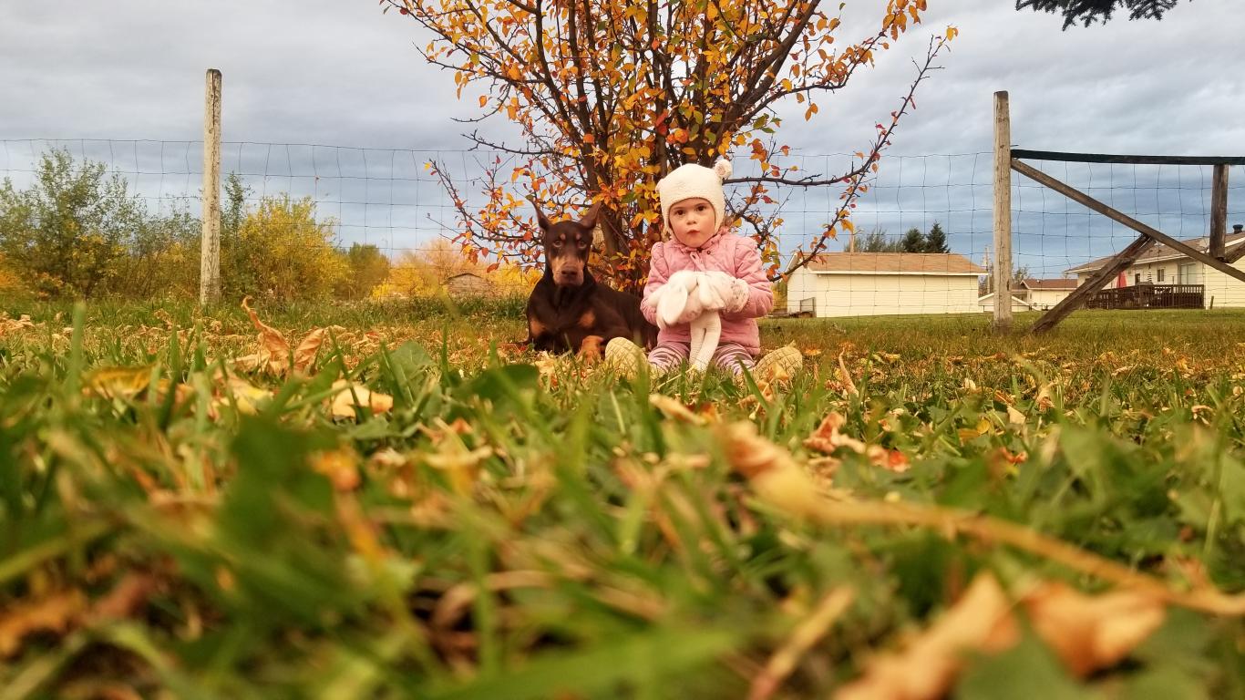 Meet the Crew Munro Kennels Sheila Munro