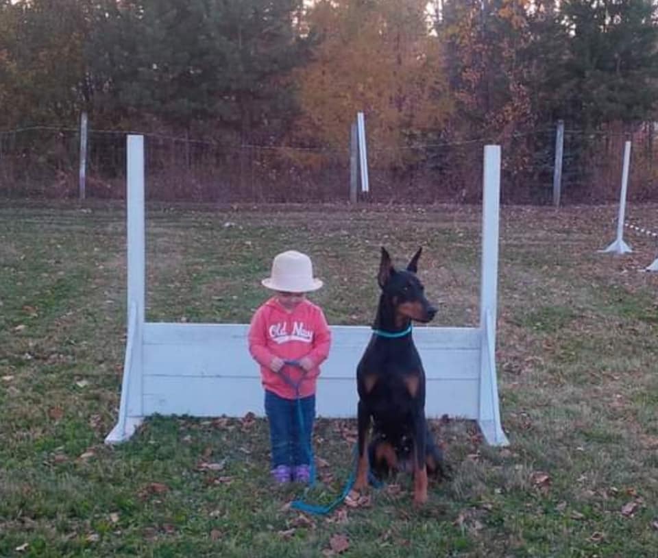 Agility - Beginner Level 1 | Munro kennels With Sheila & Echo