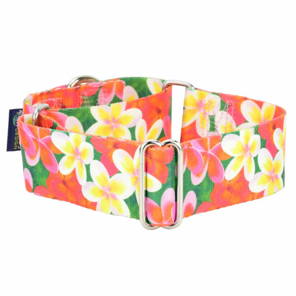 Dog Collar - Aloha EarthStyle