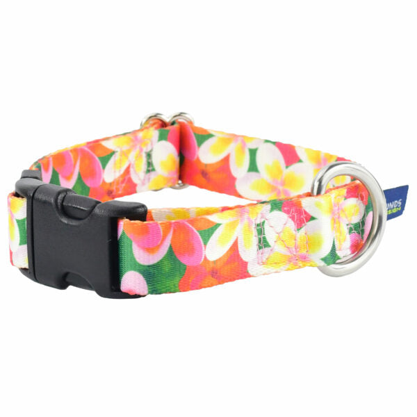 Dog Collar - Aloha EarthStyle