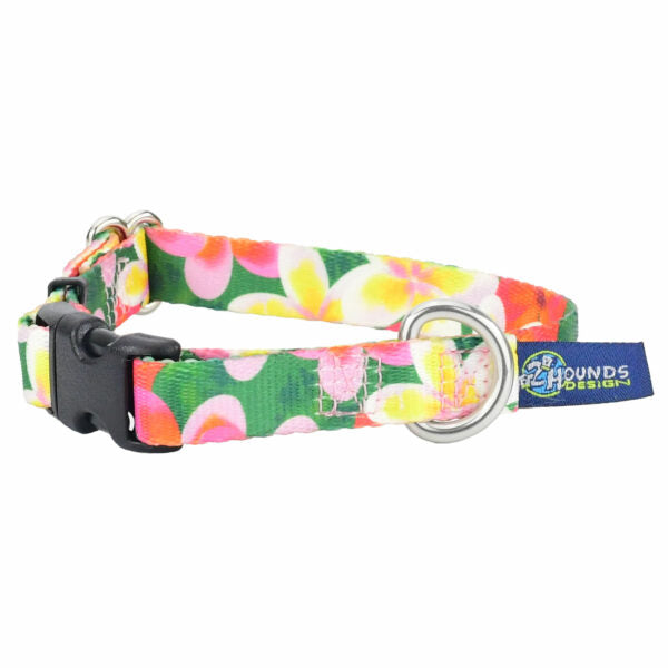 Dog Collar - Aloha EarthStyle