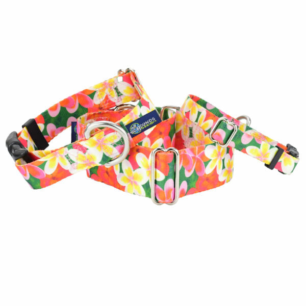 Dog Collar - Aloha EarthStyle