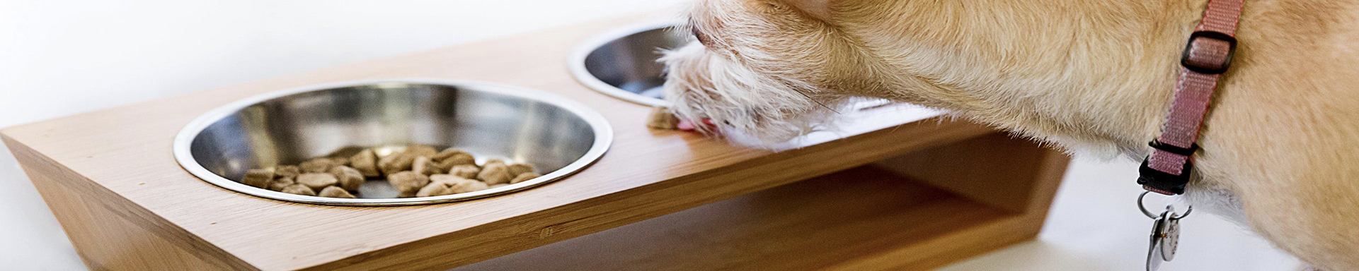 Bowls & Feeders | MunroKennels.com | Munro Industries mk-10090405