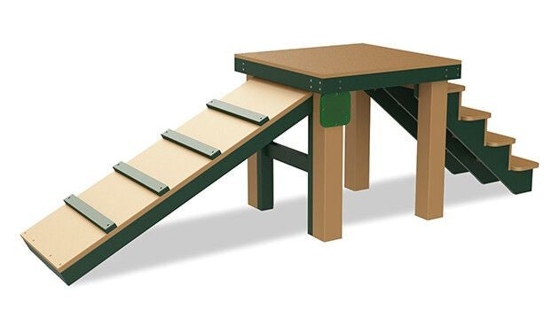 Dog Park Stairs and Ramp