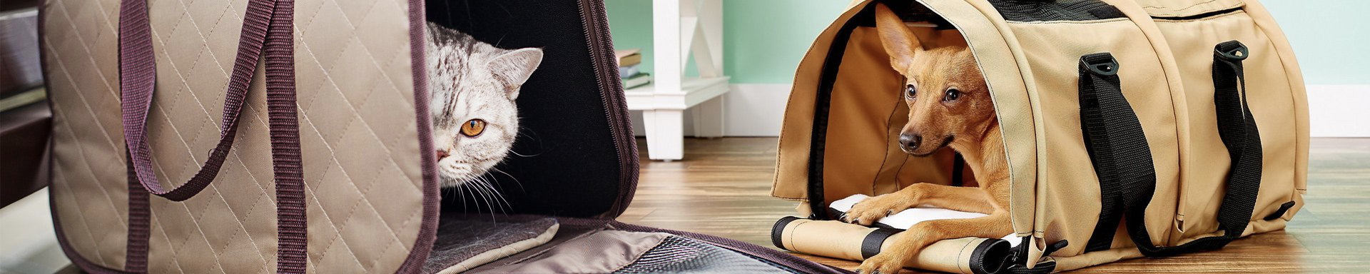 Carriers & Strollers | MunroKennels.com | Munro Industries mk-10090406