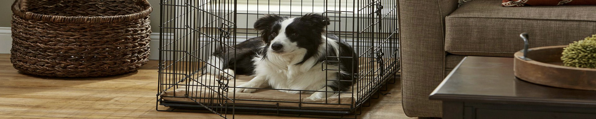 Crates & Cages | MunroKennels.com | Munro Industries mk-10090409