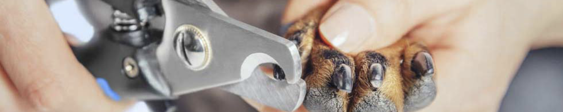 General Care | MunroKennels.com | Munro Industries mk-1009010202 1920x384