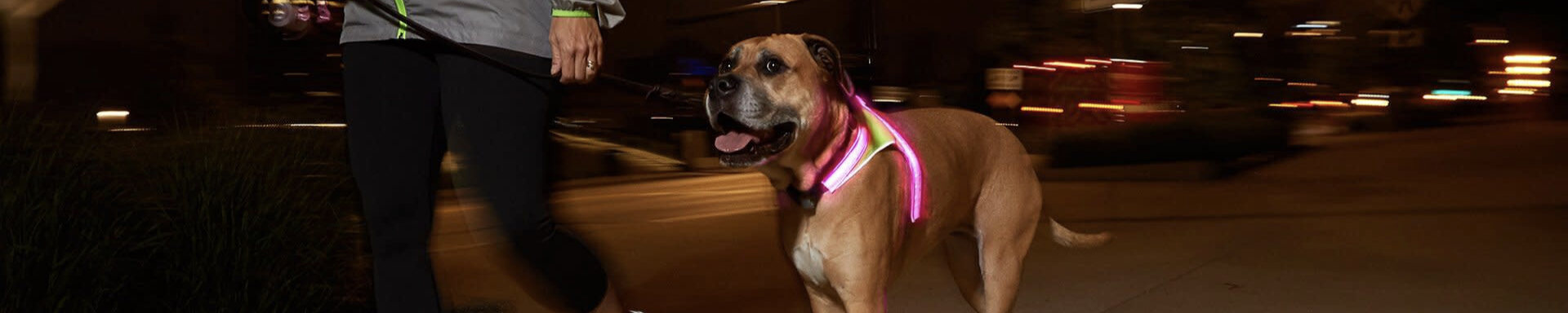 Lighted Safety Vests | MunroKennels.com | Munro Industries mk-1009041702