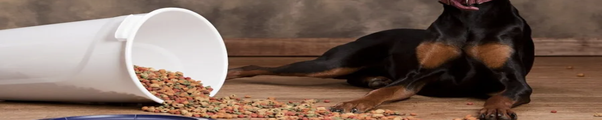 Nutrition | MunroKennels.com | Munro Industries mk-1009010203 1920x384