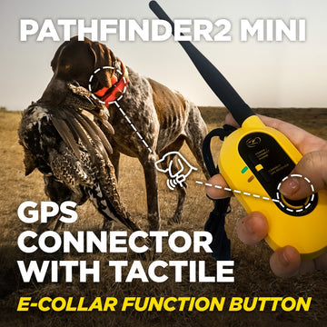 DOGTRA Pathfinder2 Mini