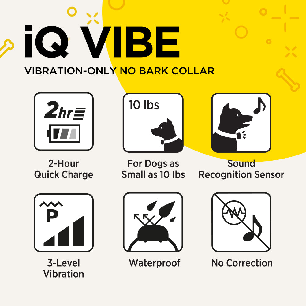 IQ VIBE