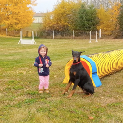 Sheila Munro | MunroKennels.com | 3 Year Old Doberman Trainer & Handler | (2022-Present)