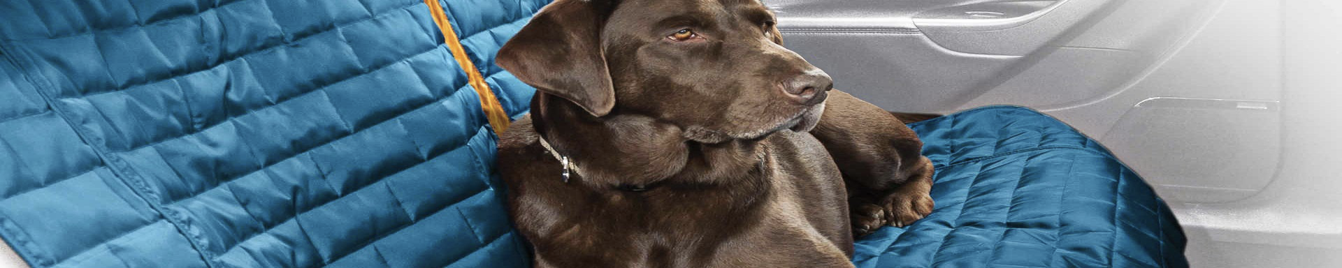 Transport & Travel | MunroKennels.com | Munro Industries mk-10090422