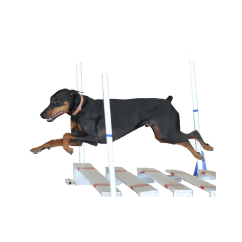 Versatility | MunroKennels.com | Munro Industries mk-1009010104 800x800