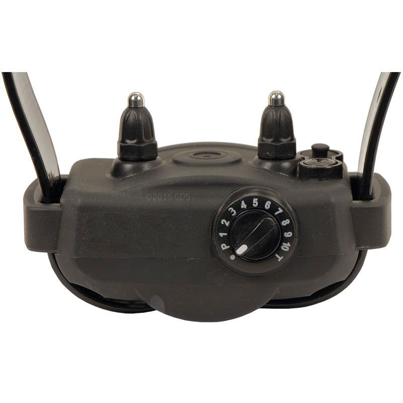 Dogtra YS600 No Bark Collar