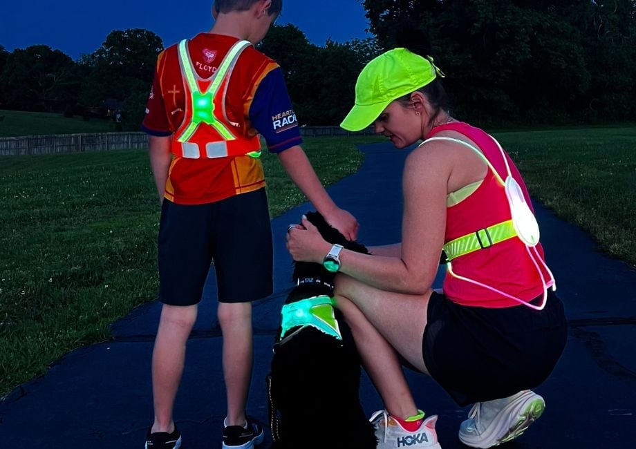 Noxgear Tracer Junior – Illuminated & Reflective Vest | MunroKennels.com