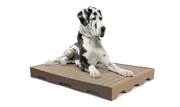 Outdoor Dog Bed