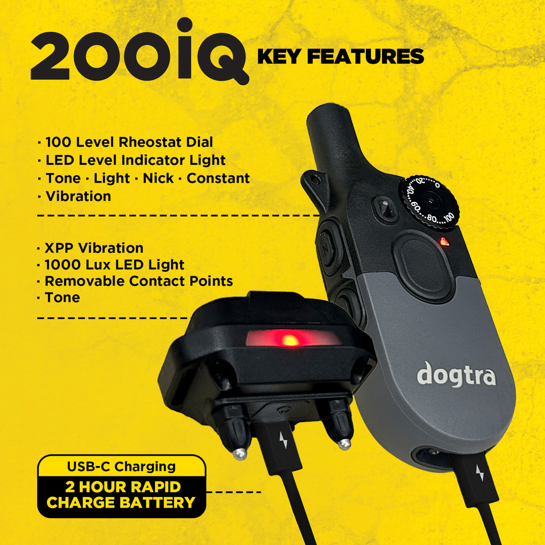 Dogtra 200IQ Training System | MunroKennels.com
