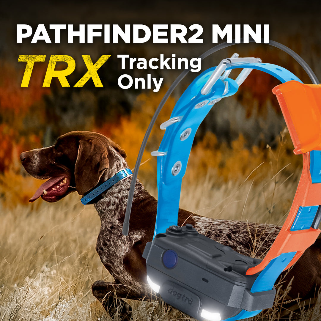 DOGTRA Pathfinder2 Mini TRX Receiver - Blue | MunroKennels.com