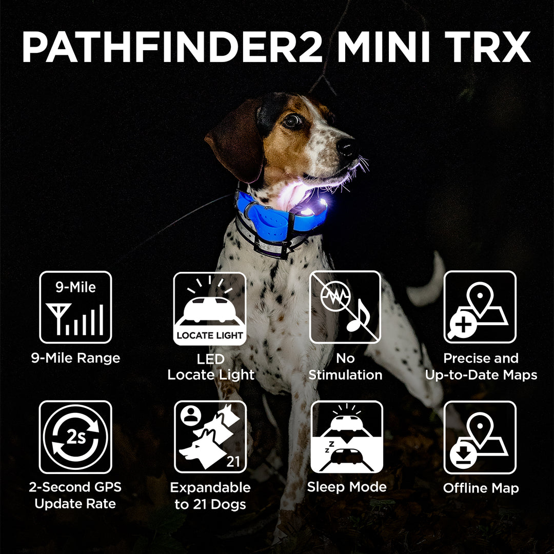 DOGTRA Pathfinder2 Mini TRX Receiver - Blue | MunroKennels.com