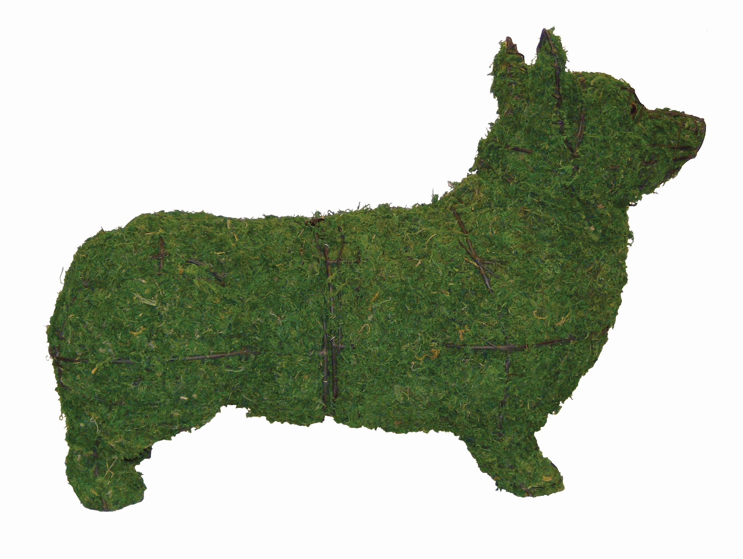 Corgi Topiary - 17" (Mossed)