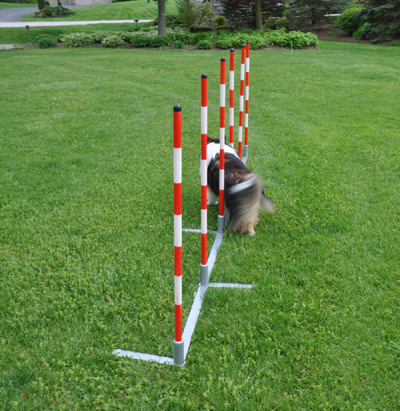 Munro Kennels Metal Base Weave Poles MK-107133