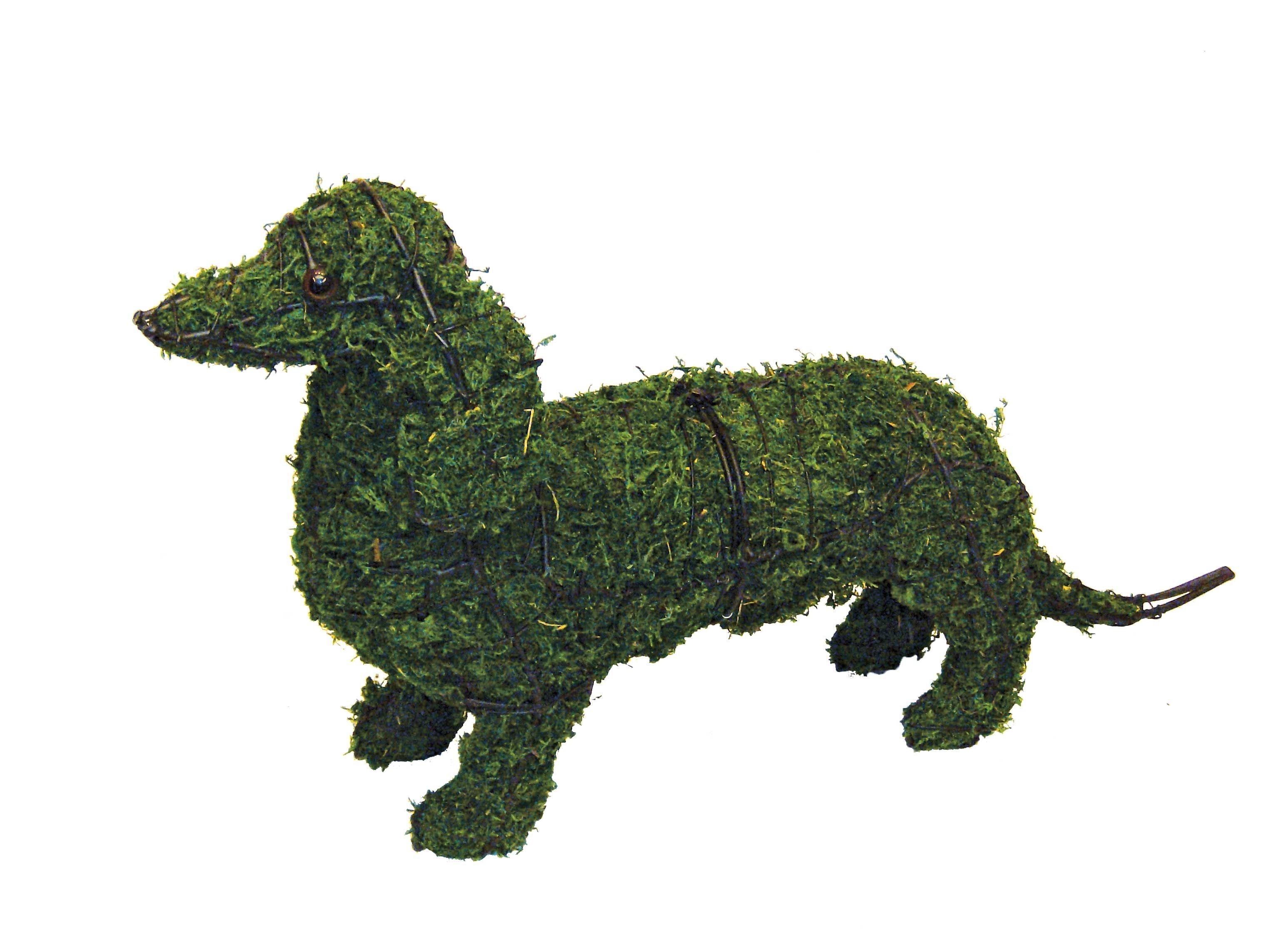 Dachshund Topiary - 13" (Mossed)