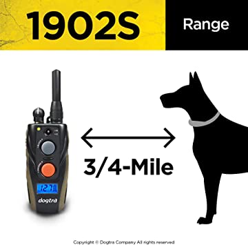 DOGTRA 1902S 2-Dog Training System