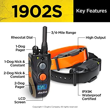 DOGTRA 1902S 2-Dog Training System