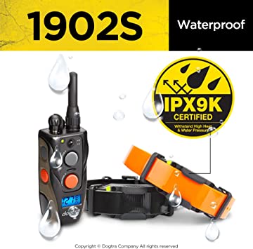 DOGTRA 1902S 2-Dog Training System