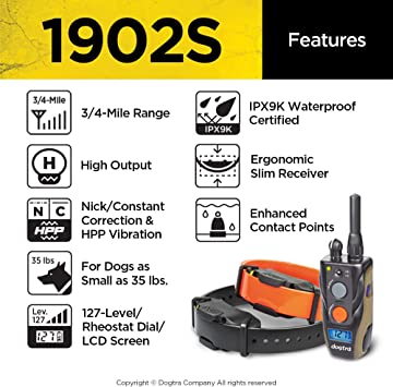 DOGTRA 1902S 2-Dog Training System