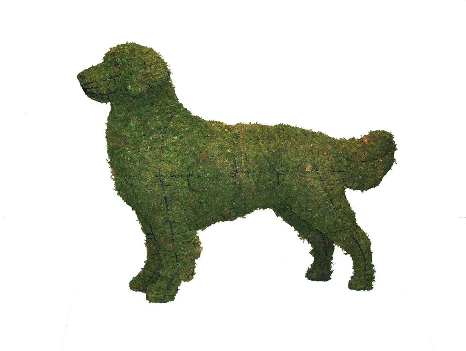 Golden Retriever Topiary - 31" (Mossed)