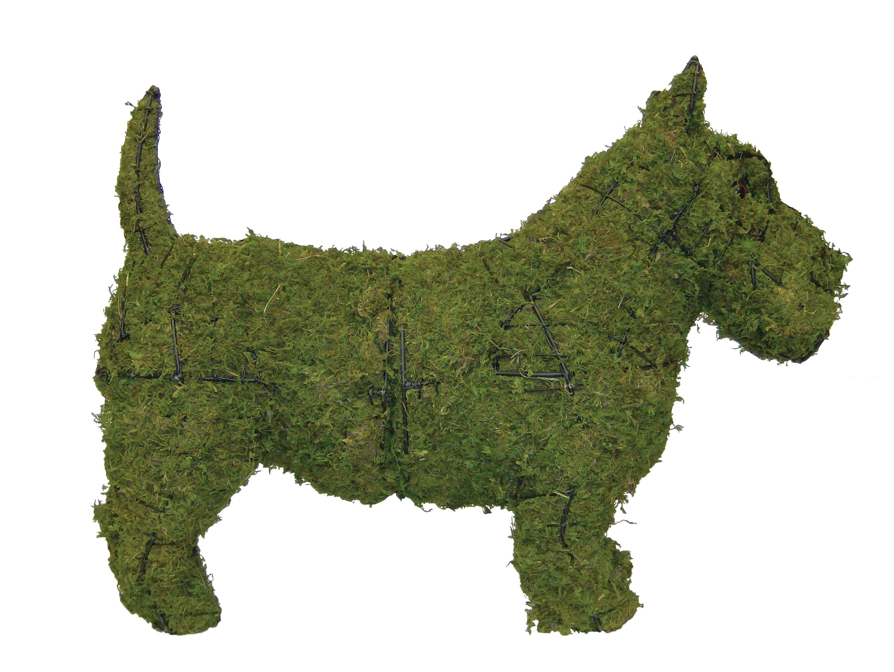 Scottie Topiary - 18" (Mossed)