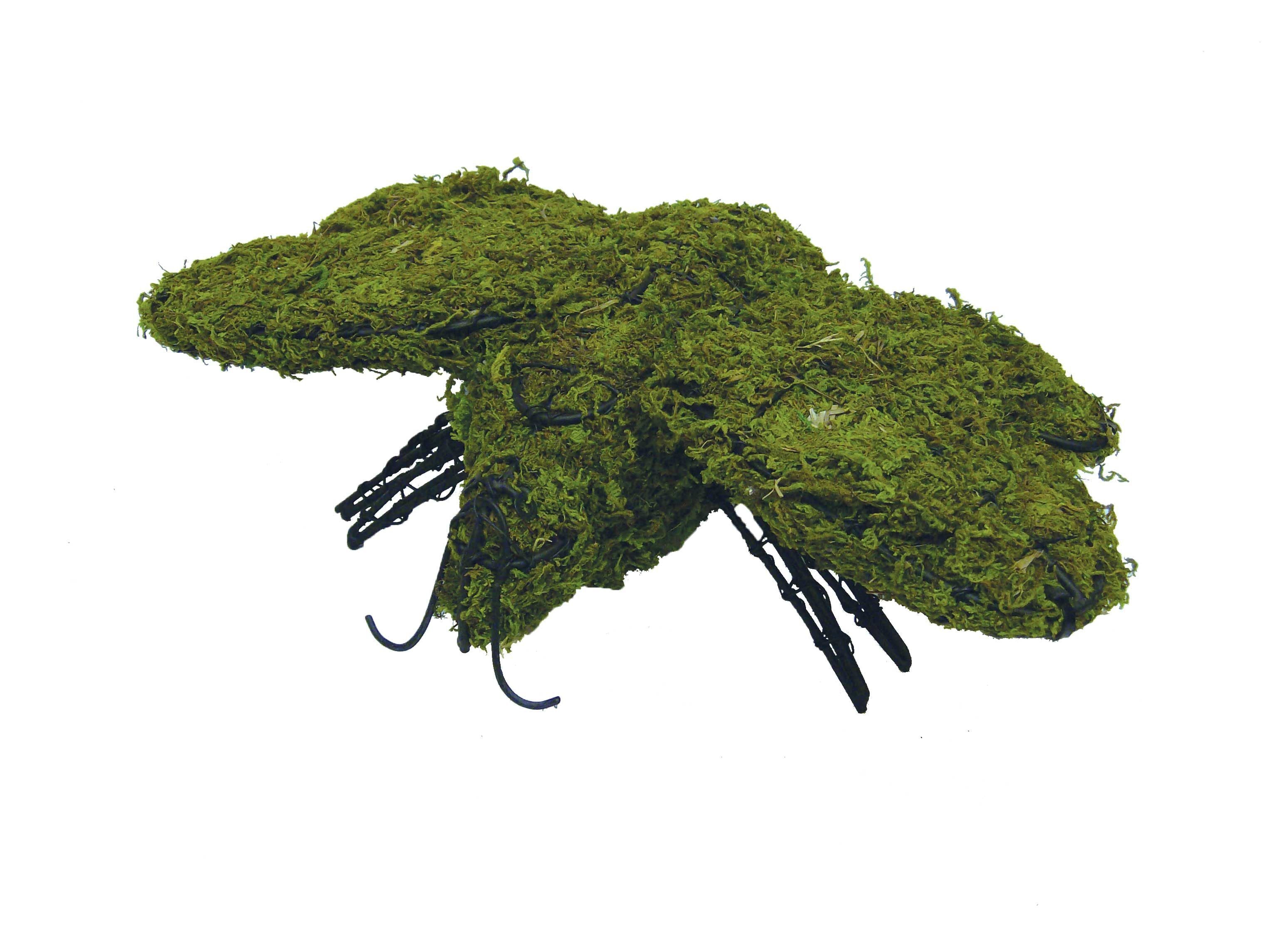 Bumblebee Topiary - 6" (Mossed)