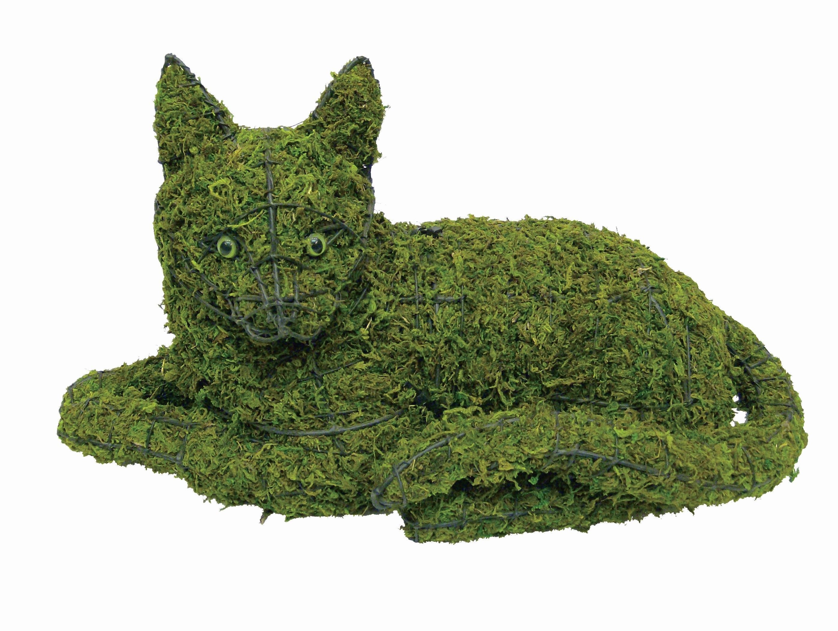 Lying Cat - 10" (Mossed)