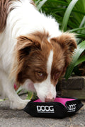DOOG Portable/Foldable Water Bowl