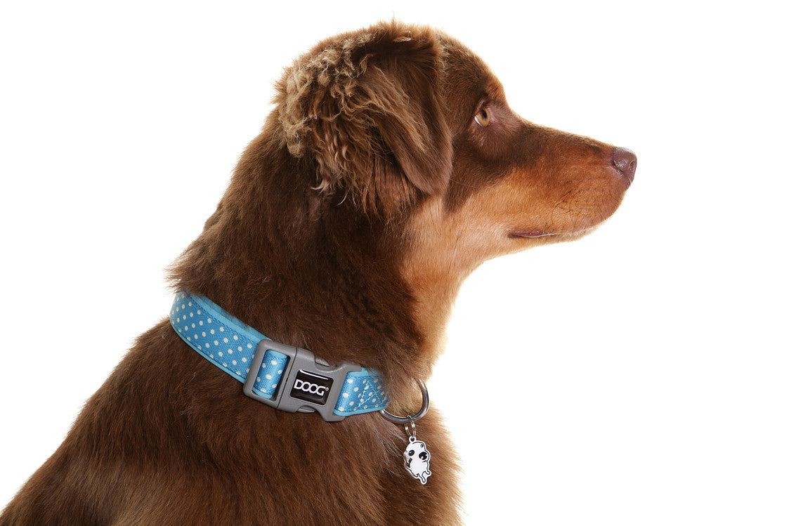 Neoprene Collar - Snoopy