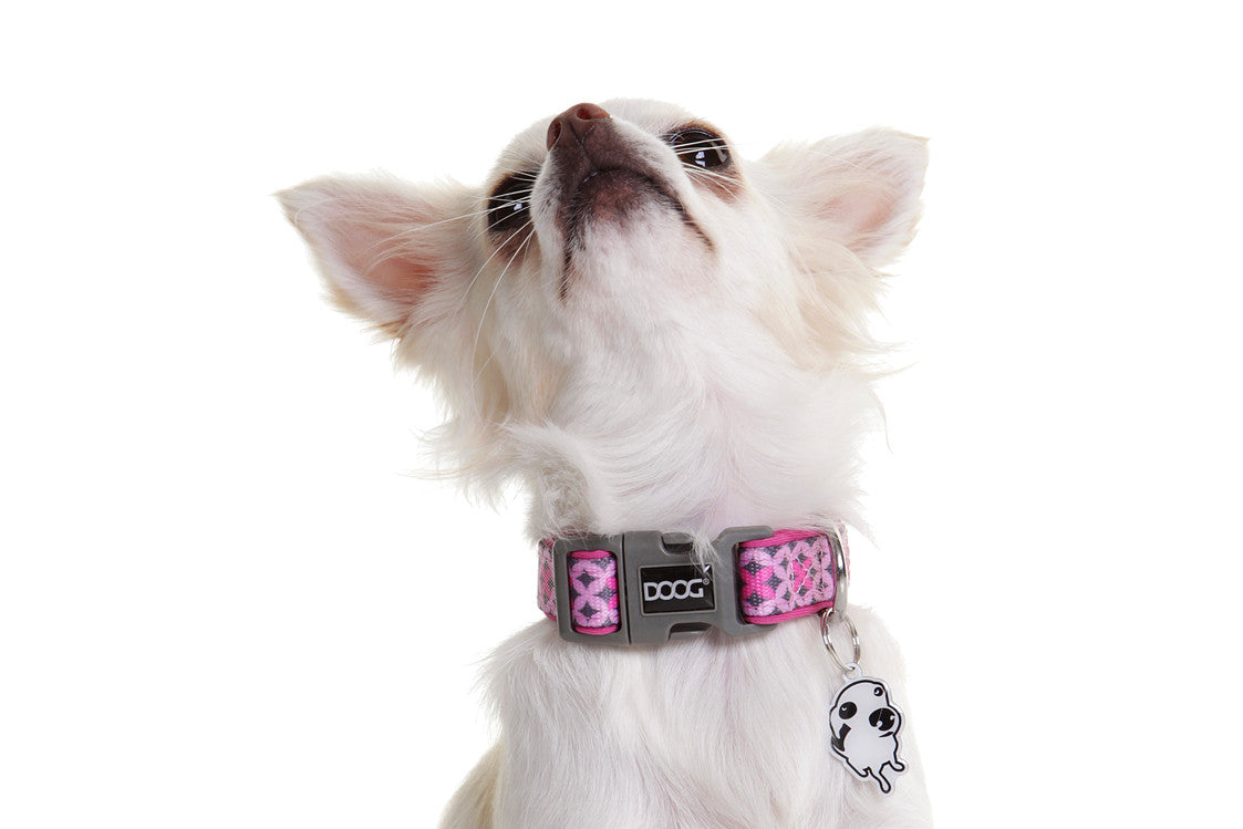 Neoprene Collar - Toto
