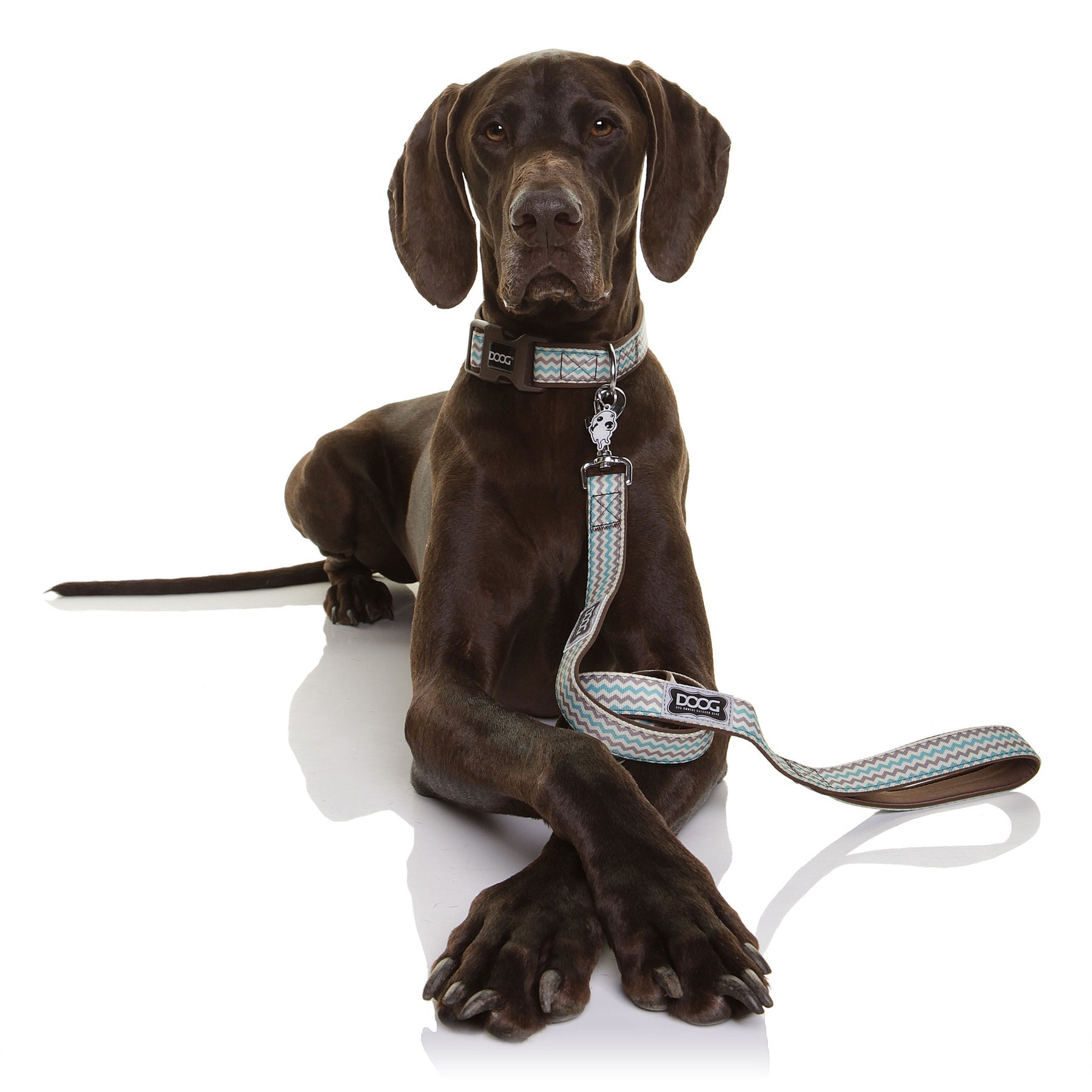 Neoprene Dog Lead - Benji