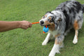 FETCH-ABLES - Fetch-N-Tug Ball & Rope