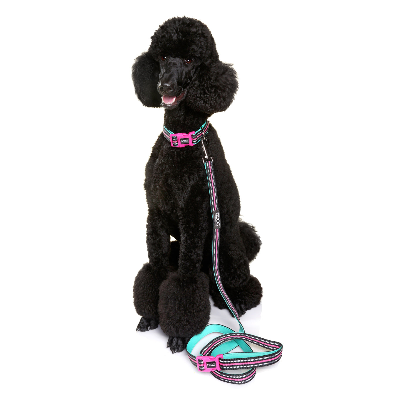 Neoprene Hi Vis Dog Lead 'Clip It' - Tin Tin