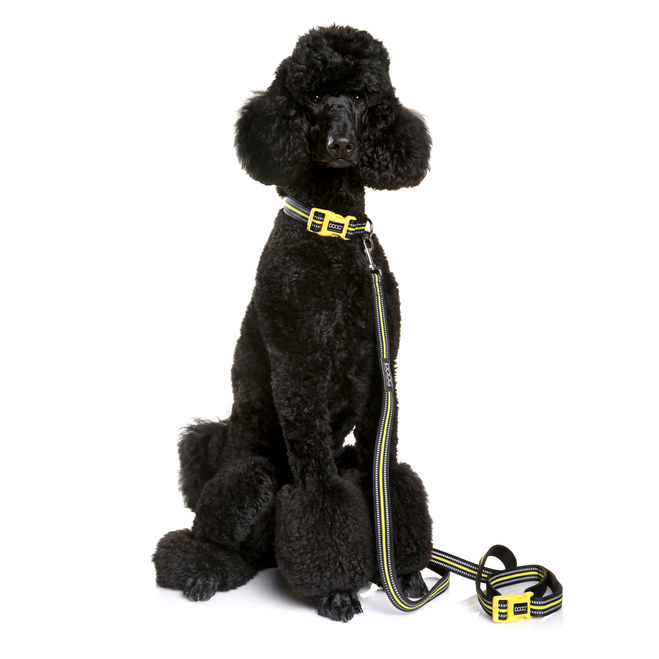 Neoprene Hi Vis Dog Lead 'Clip It' - Bolt