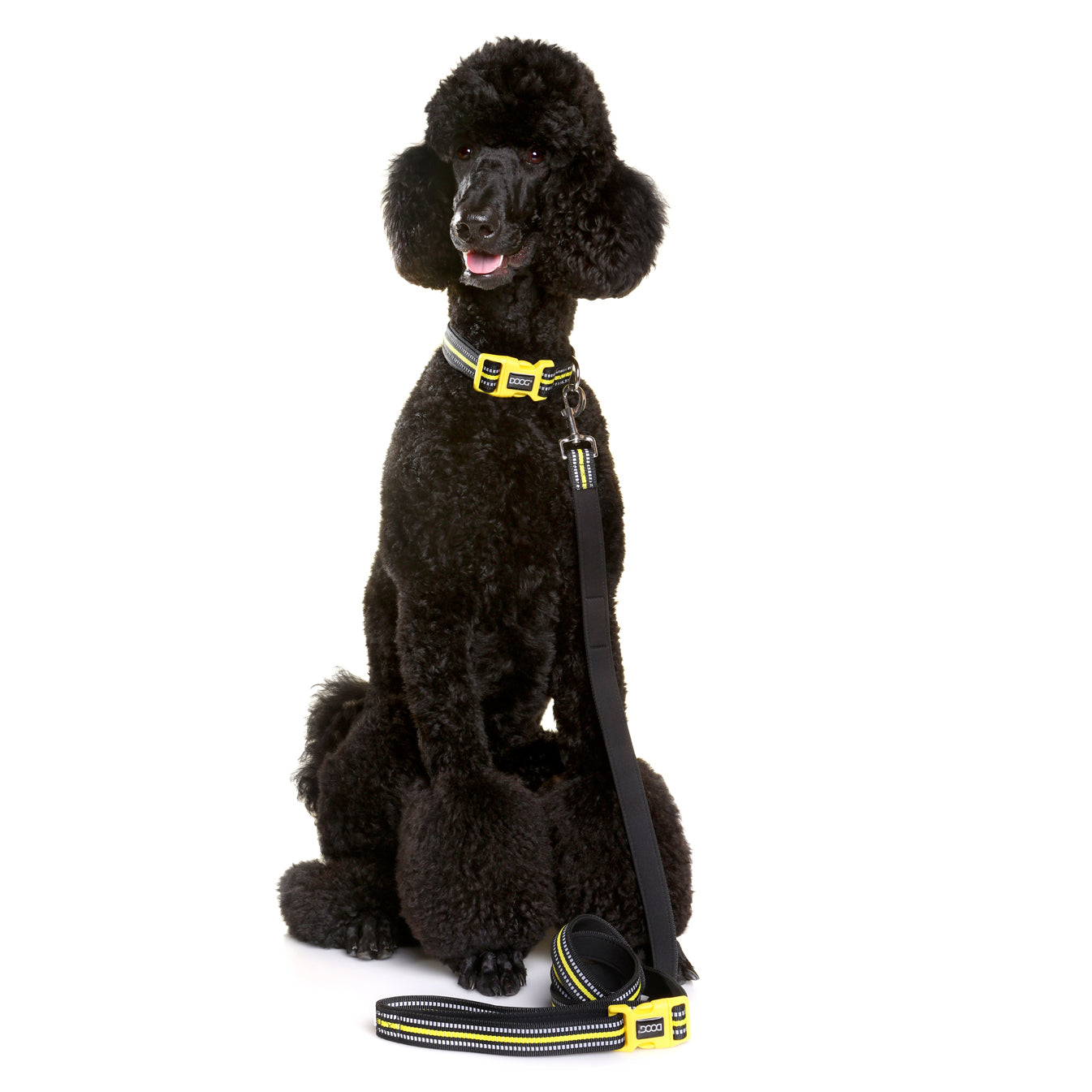 Neoprene High Vis Collar - Bolt